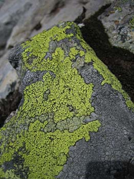 IMG_5907
