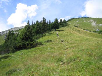 IMG_5919